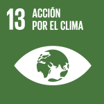 SDG 13