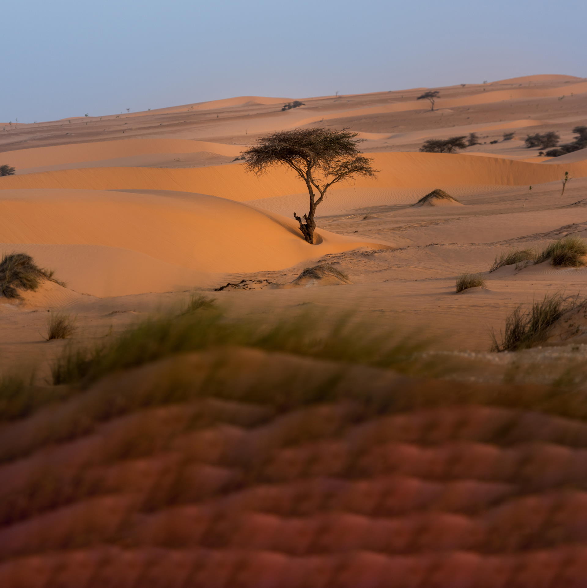 Sahel Desert Bbc Bitesize