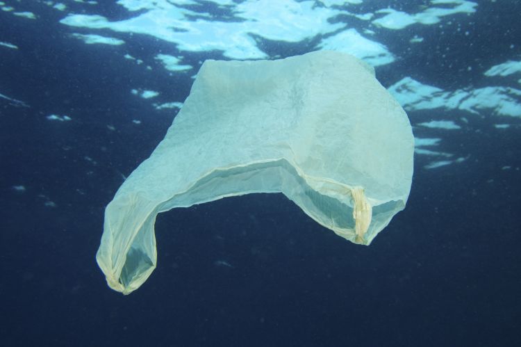 89% des déchets plastiques trouvés sur les fonds marins sont des objets à usage unique.