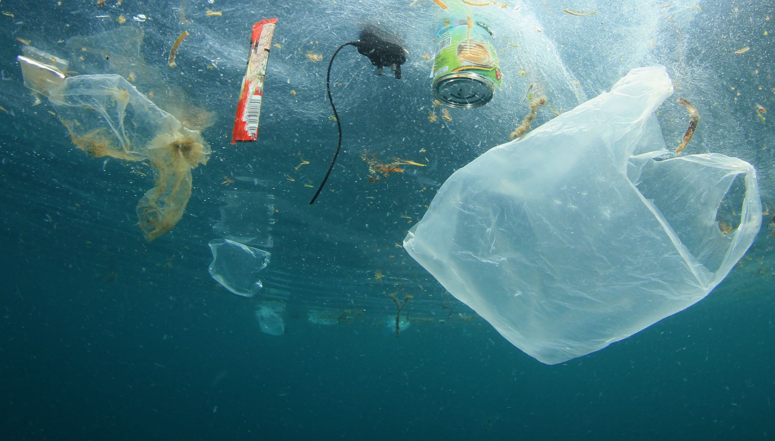 Photo of plastic trash floating around the sea