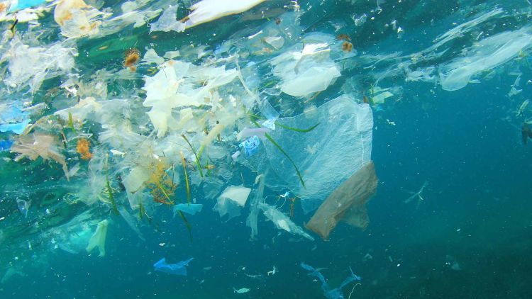 Photo of garbage in the sea