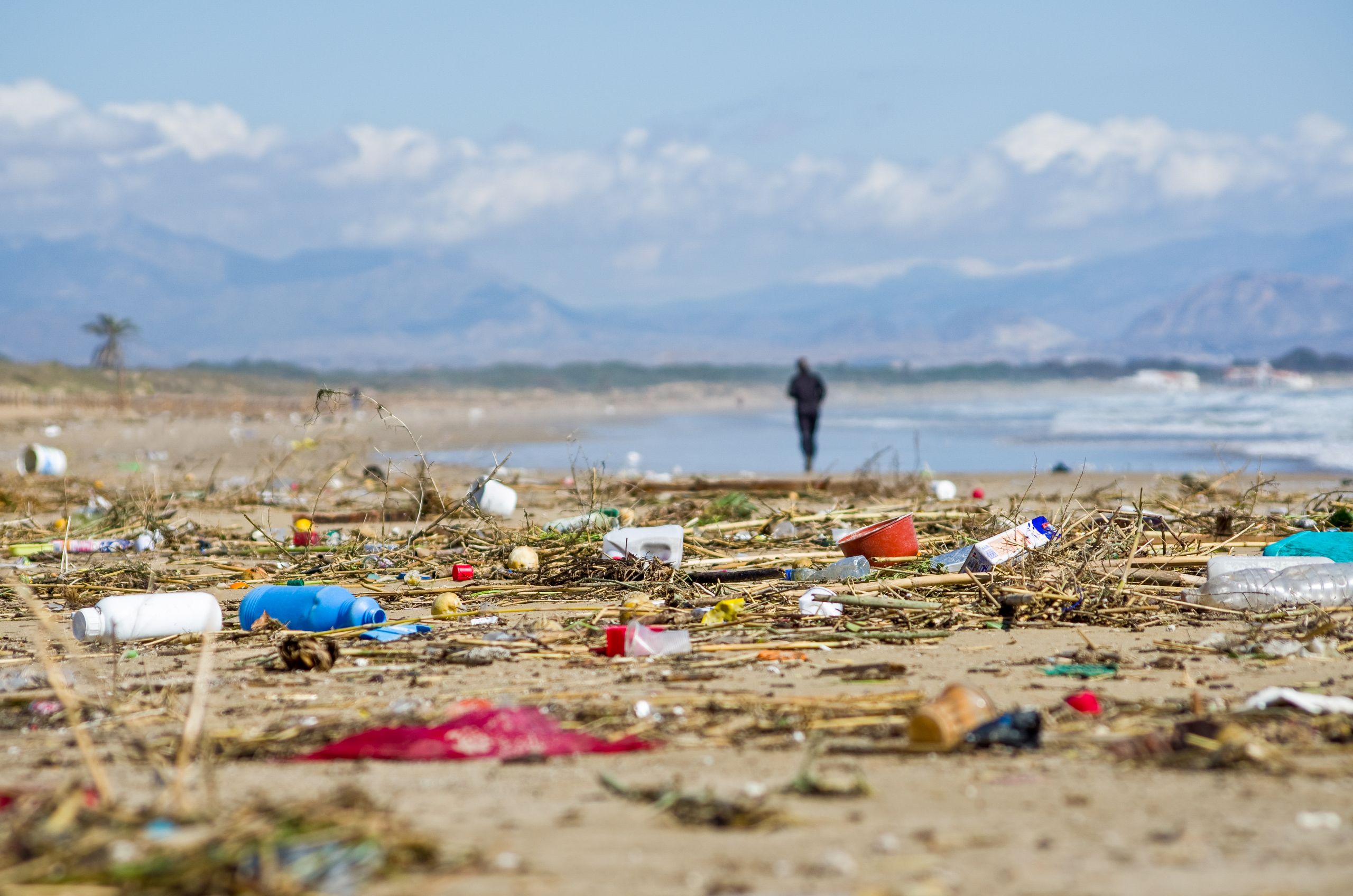 Sea shore littered by trash