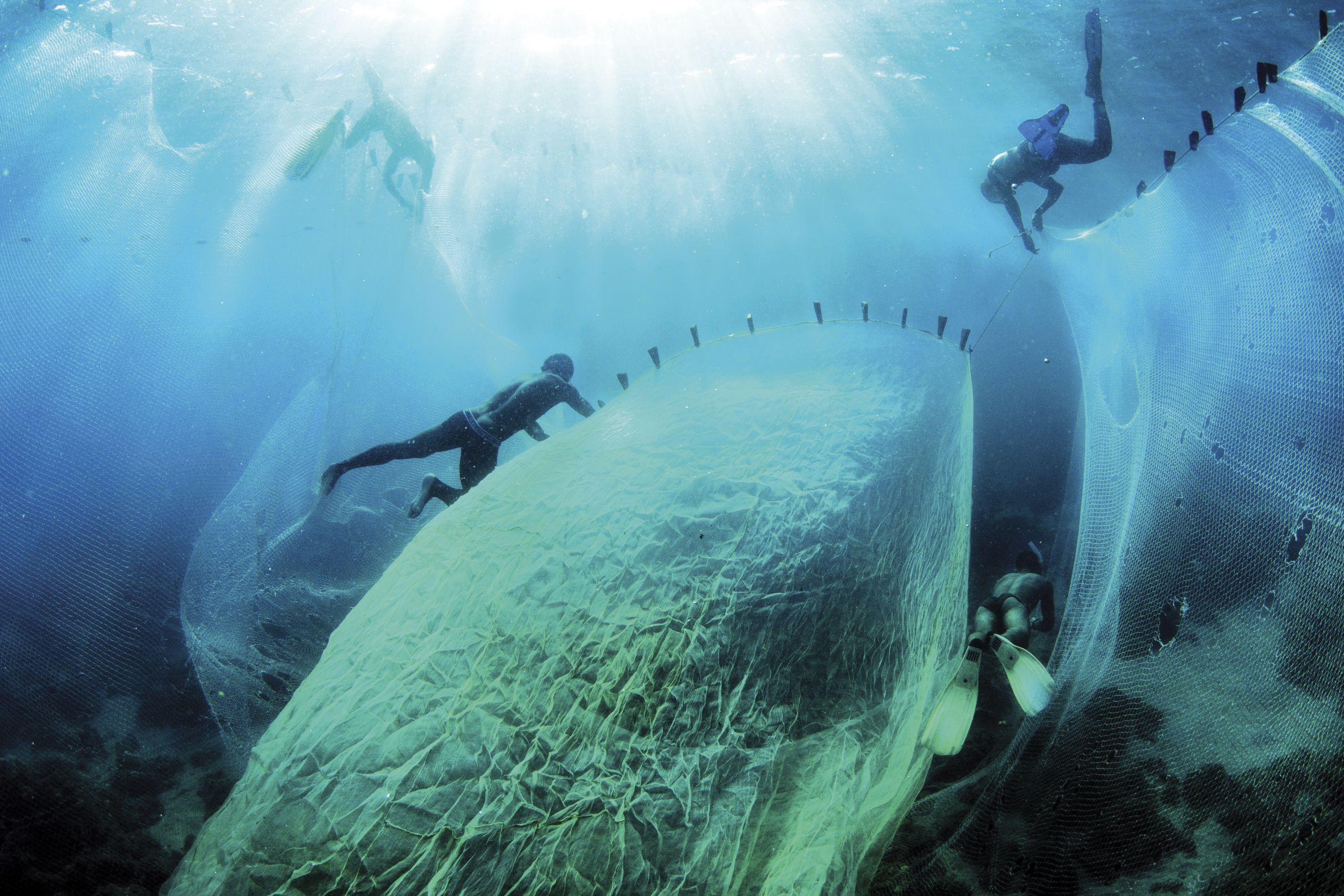 Fishermen divers