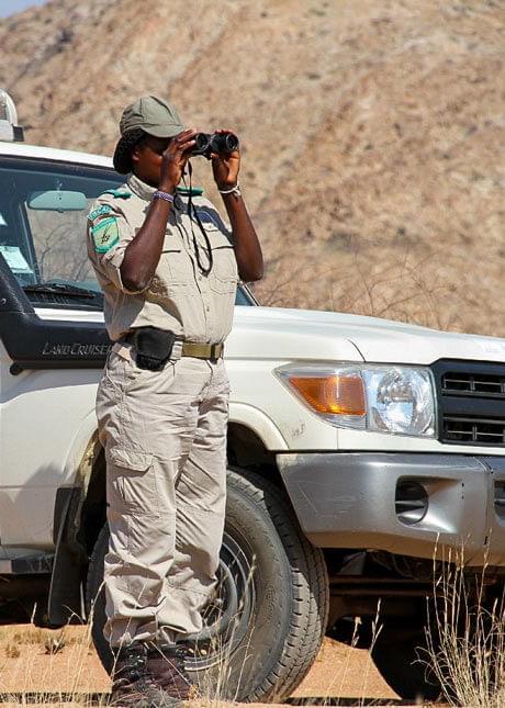 A wildlife ranger stands beside her vehicle and looks through binoculars